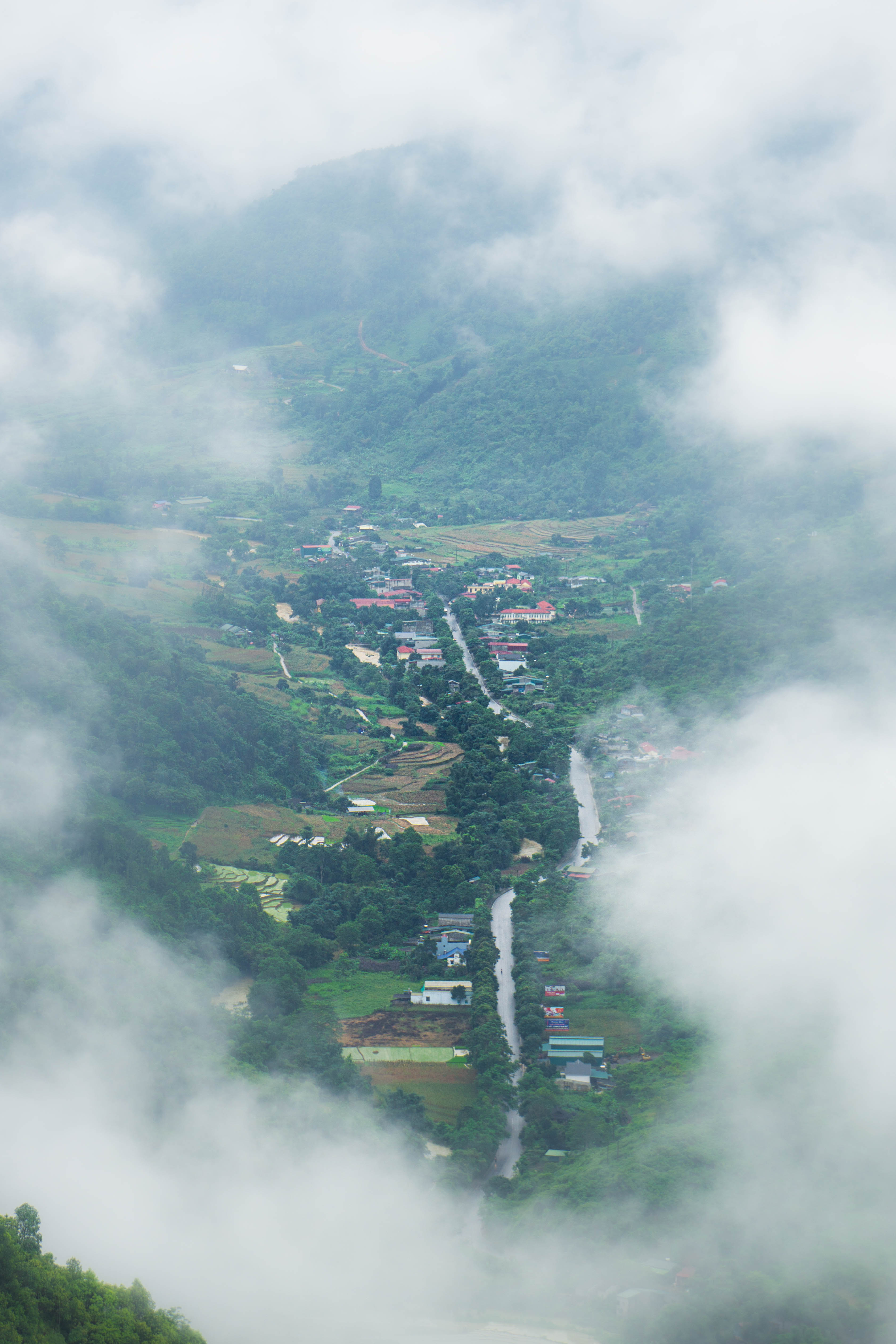Paysage vert